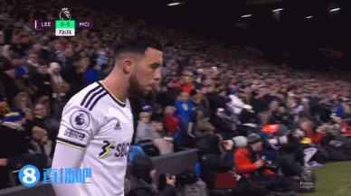 罗伊斯即将重返多特主场，担任欧冠对阵博德闪耀的分析嘉宾